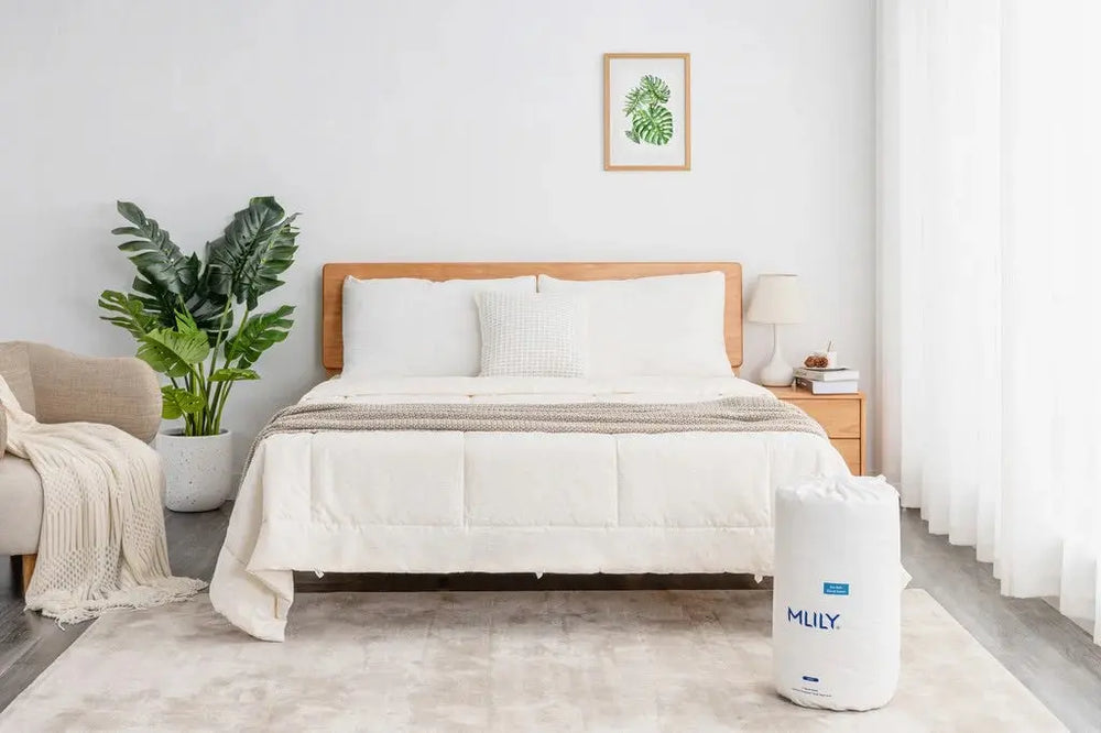 Eco_Soft_Duvet5_344562193