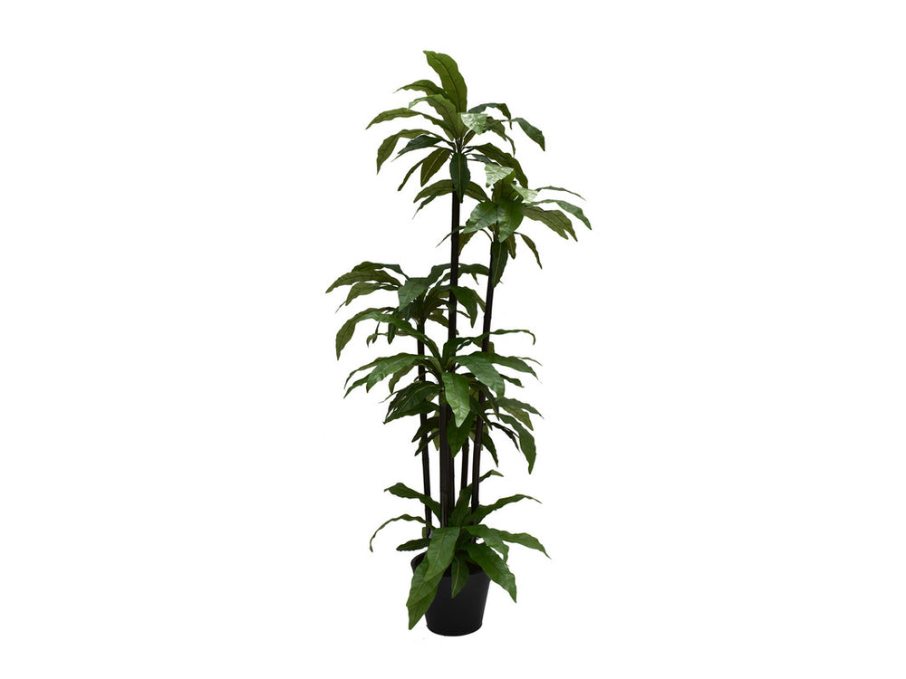 Monarch_6Ft_Birds_Nest_Tree_on_Bamboo_811314931