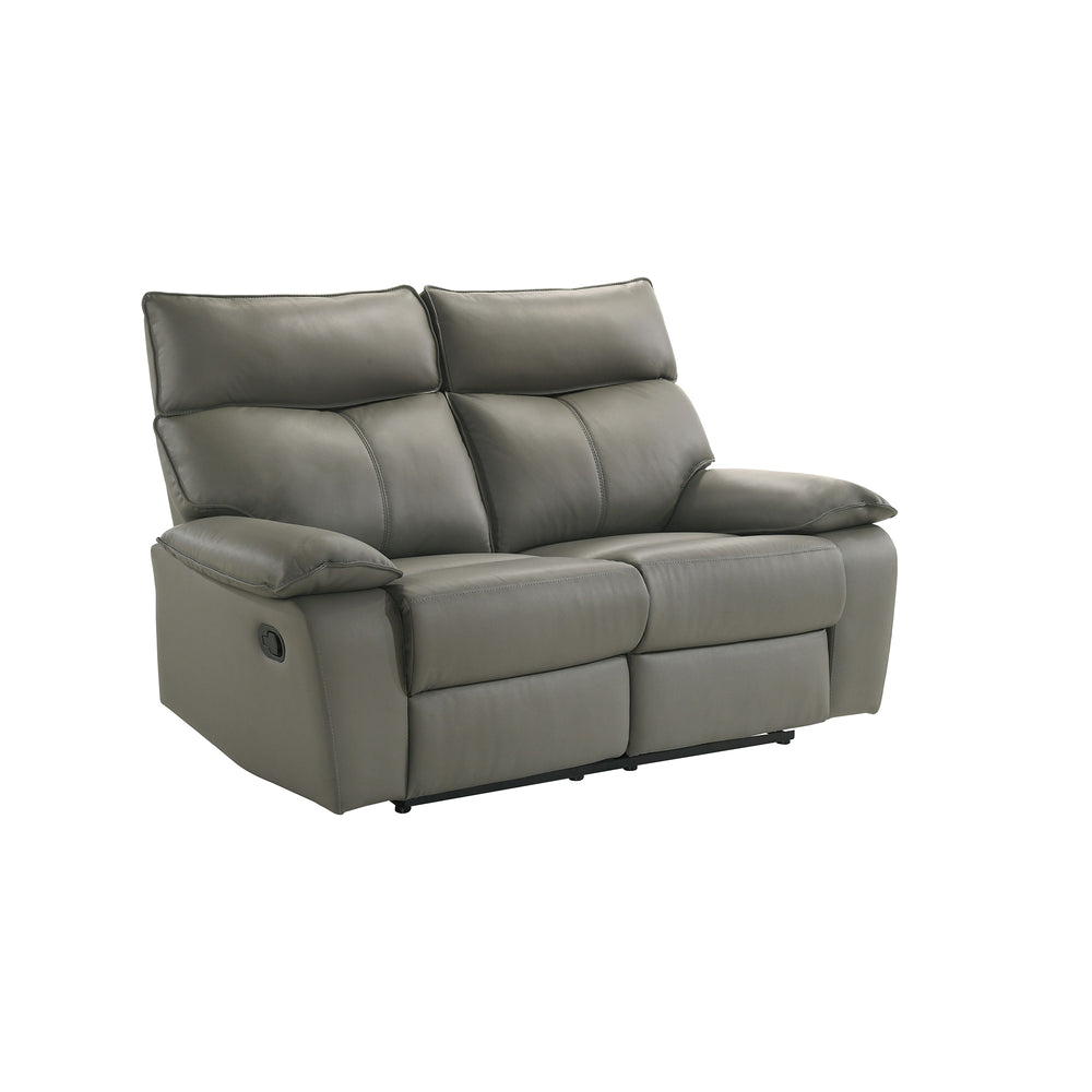 Wildcat_Loveseat_in_Gray_Angled_062420677